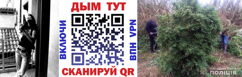 ГАШ Жуковка