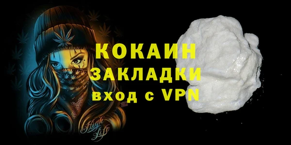 амф Дмитриев