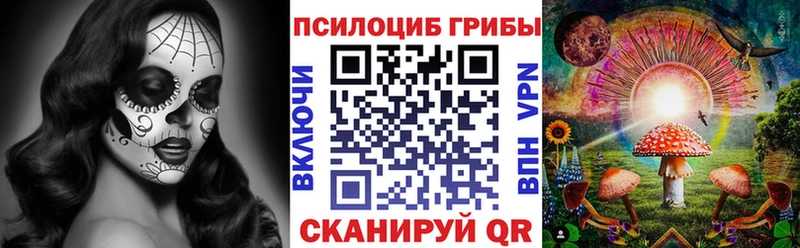 Галлюциногенные грибы Psilocybe  Жуковка 